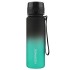 Sticla Colorful Frosted 500 ml 3026d -  Black-Green