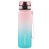 Sticla Colorful Frosted 500 ml 3026d -  Pink-Cyan